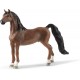 Castrone American Saddlebred - SCHLEICH Horse Club 13913